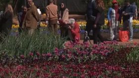 VIDEO Floriade 2024. Un spectacol de culoare și natură în inima Canberrei